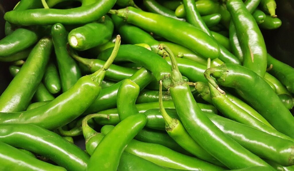 Chile serrano, ingrediente importante para el chileatole verde.