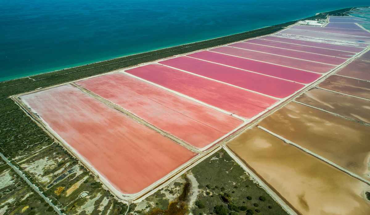 Las Coloradas, la laguna rosa