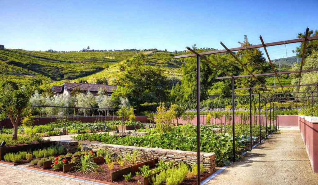 Six Senses Douro, un hotel que rinde tributo a los vinos de Portugal 0