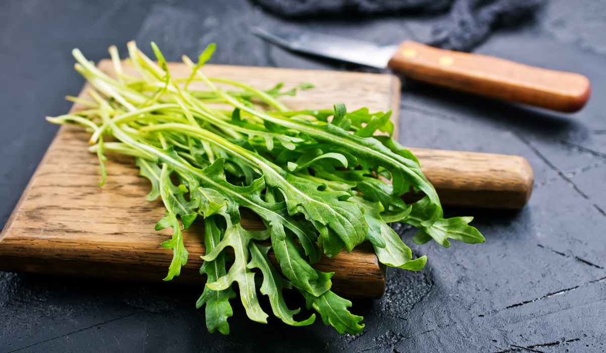 arugula4