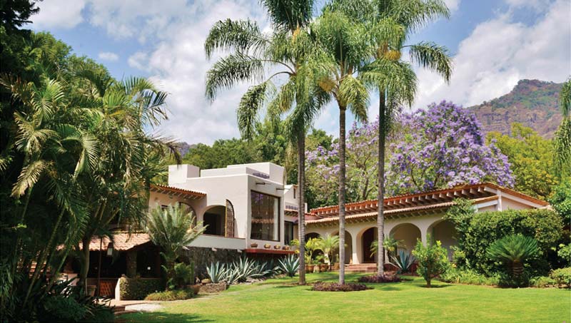 En los jardines de Amomoxtli, nuestro hermoso hotel en Tepoztlán, podrás encontrar plantas endémicas de la región, como ahuehuetes o amates,