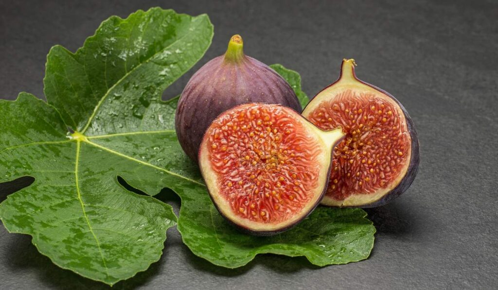 Fig leaves and figs. 