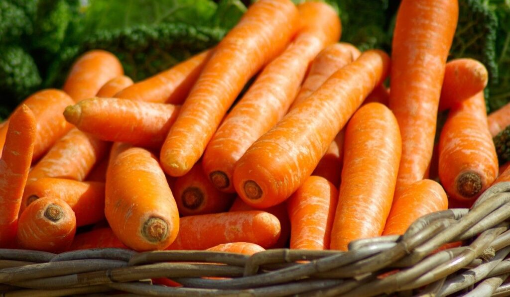Zanahorias para preparar hummus diferente. 