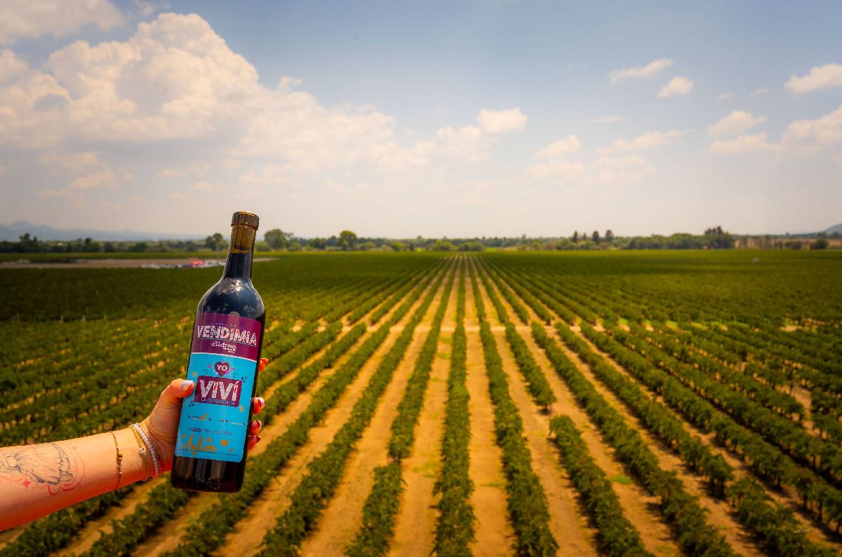 Con una copa de vino la vida es exquisita. El director de 4 Soles está listo para llevar el vino mexicano a un nuevo nivel. Conoce sus planes.