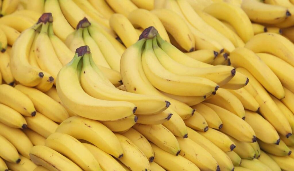 Los plátanos son muy diferentes a las bananas. 