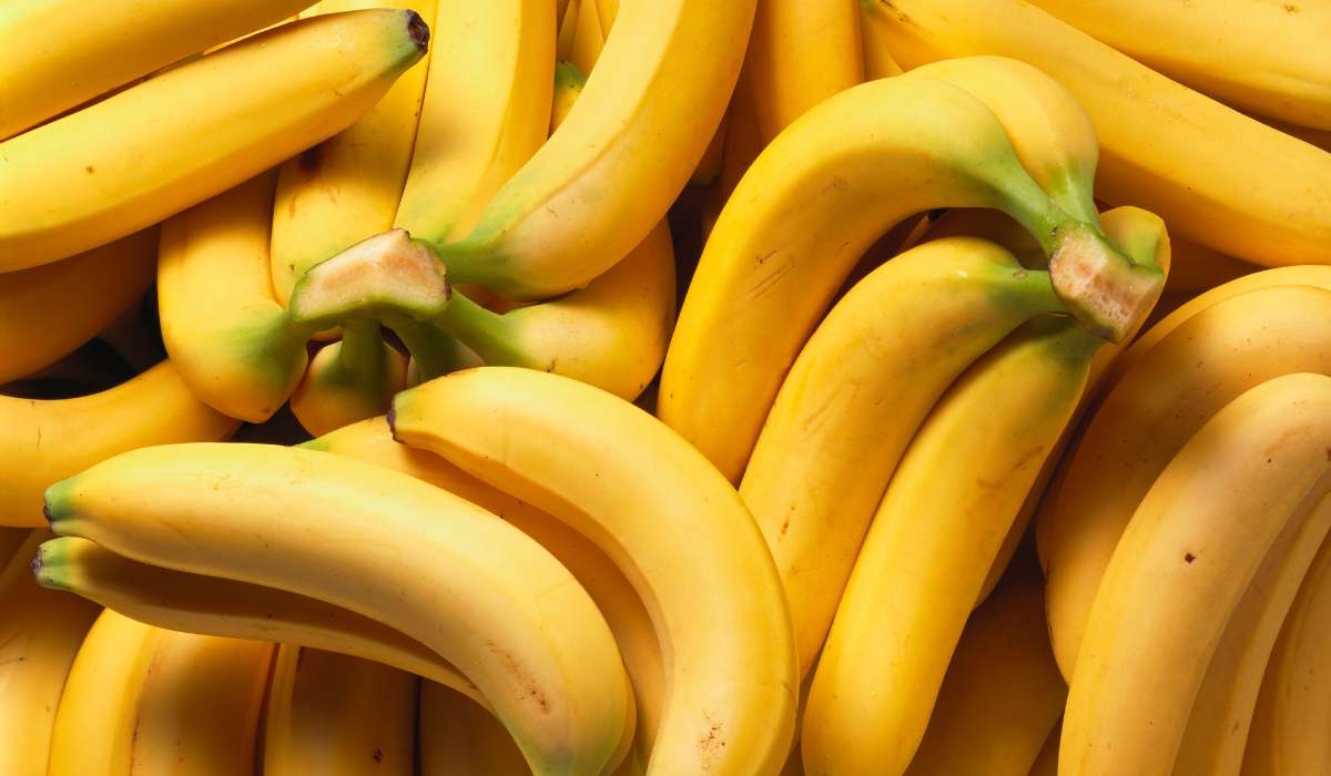 bananas-y-platanos-2