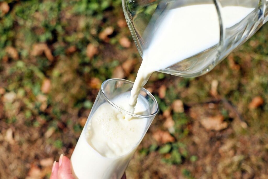 7 datos curiosos sobre la leche que no sabías