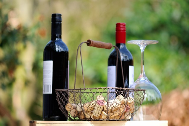 Celebra el Día del Cabernet Sauvignon con el Exquisito Vino 120 de Santa Rita 1
