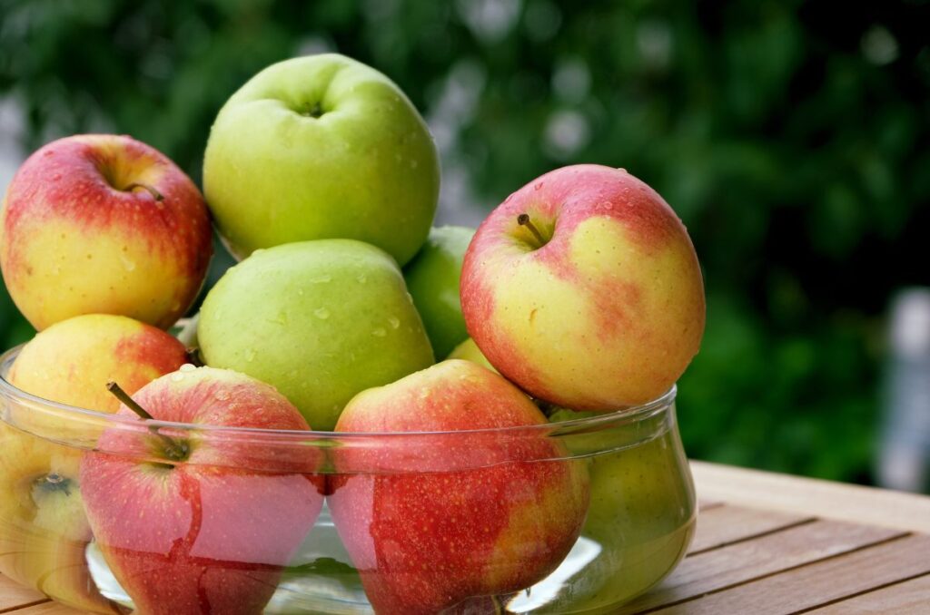 La manzana es una de las frutas más populares del mundo.