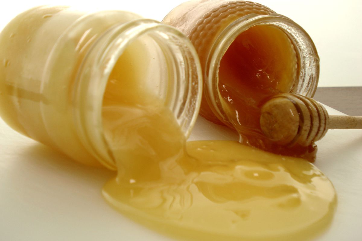 ¿De qué está hecha la miel falsa y cómo distinguirla de la miel auténtica?