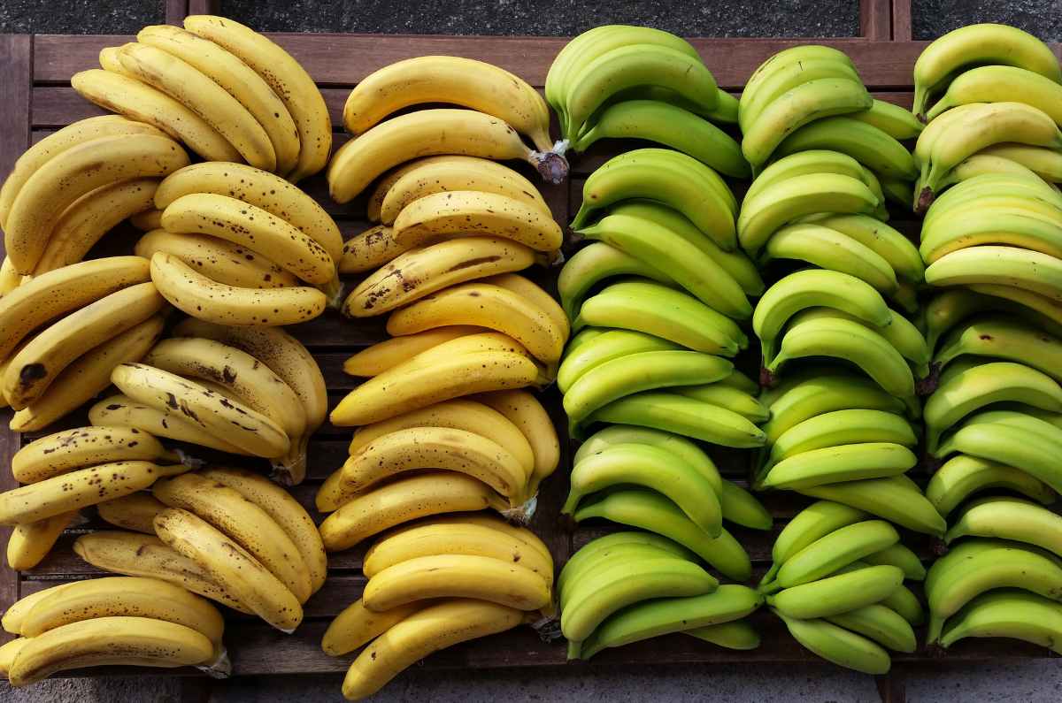 Diferencias y semejanzas entre bananas y plátanos