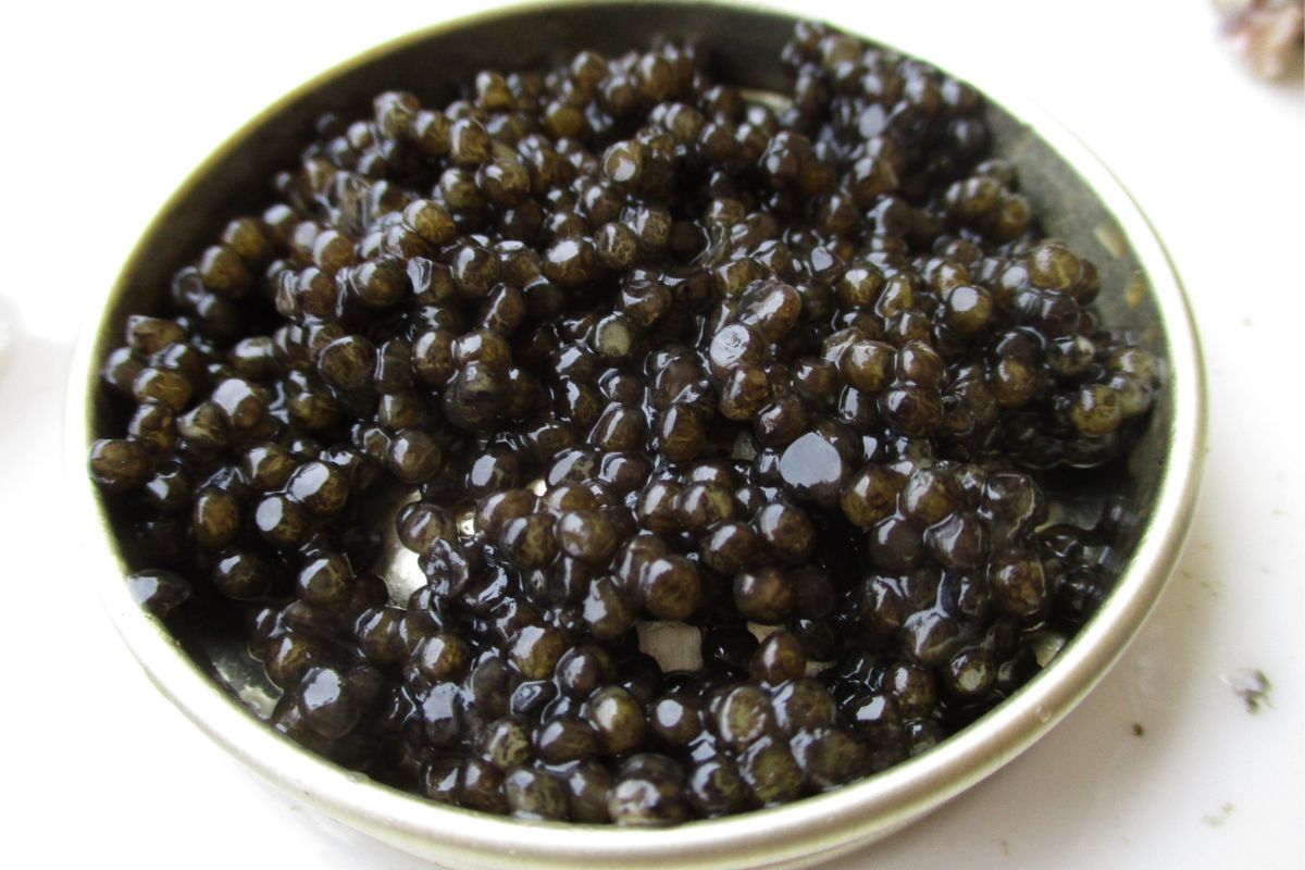 ¿Qué es el caviar y de dónde se obtiene?