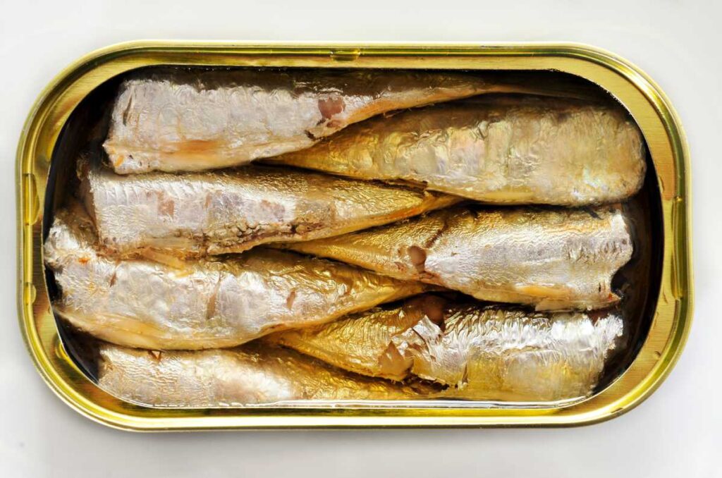 Conoce los productores principales de sardinas