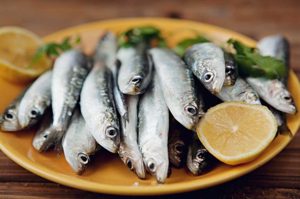 Parrocha o souba mejor conocida como sardina