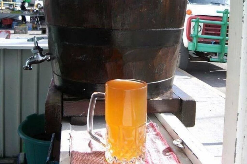 Proceso de fermentación en los tipos de tepache.