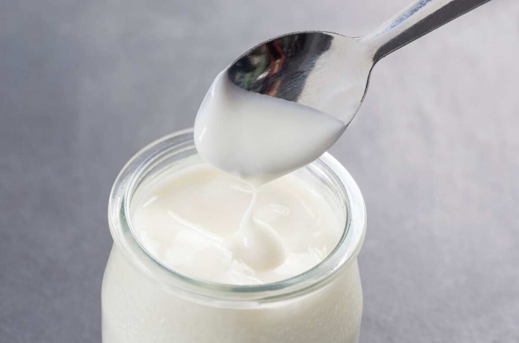 Historia y origen del yogurt, producto lácteo rico en microorganismos.