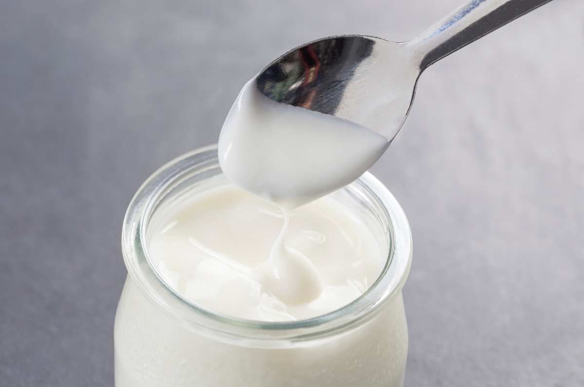 Historia y origen del yogurt, producto lácteo rico en microorganismos.