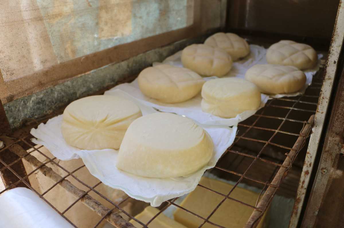 Ingredientes de Los Cabos que pocos saben que se producen en el semidesierto