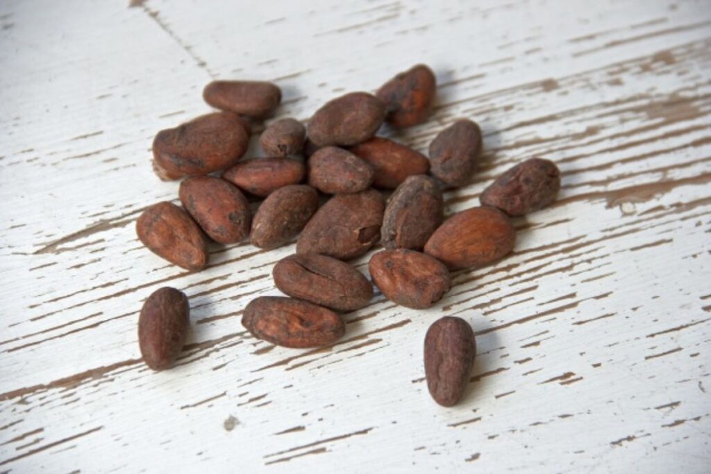 Cacao, ingredientes con múltiples usos e ingrediente que México aportó al mundo.