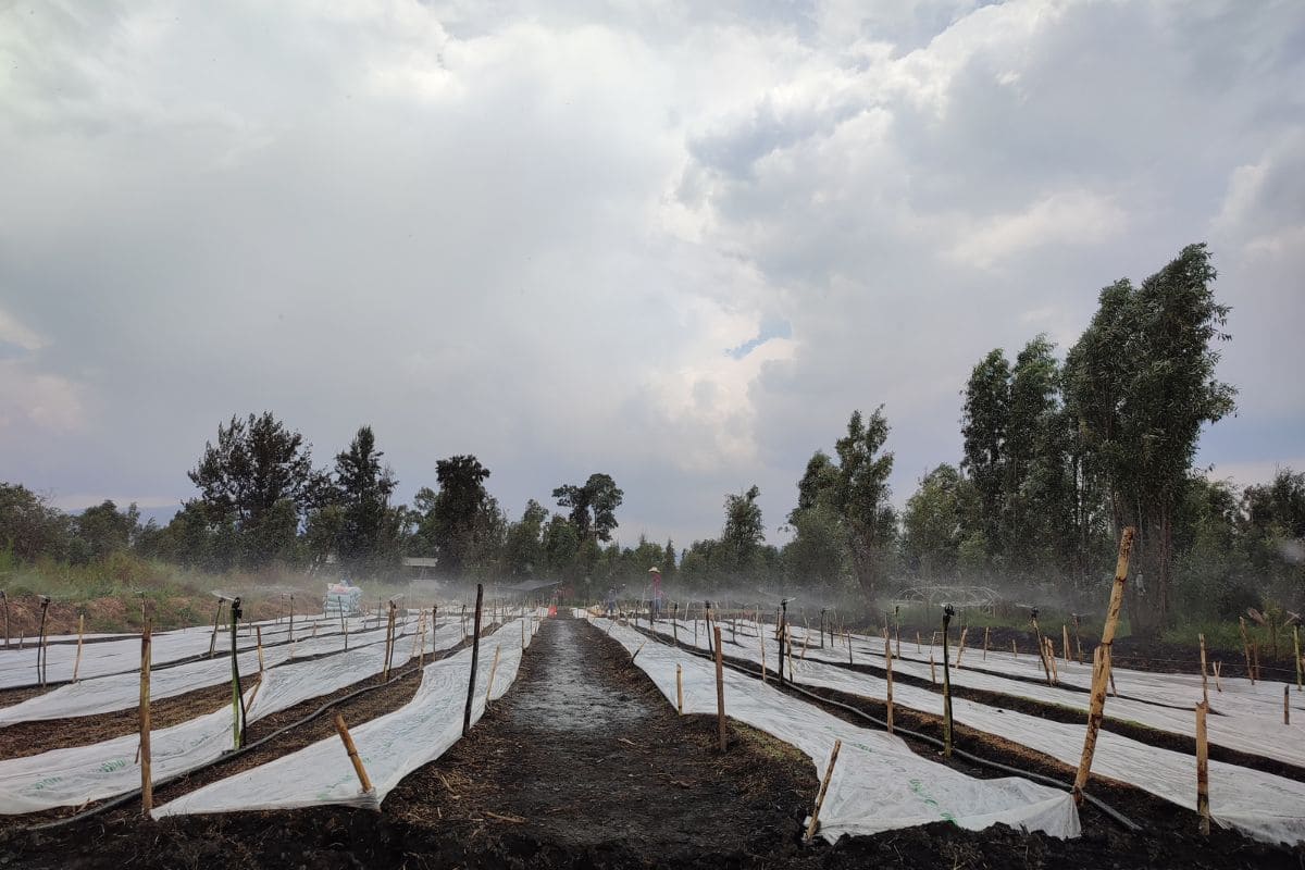 ¿Qué es la Escuela Campesina de las chinampas de Xochimilco?