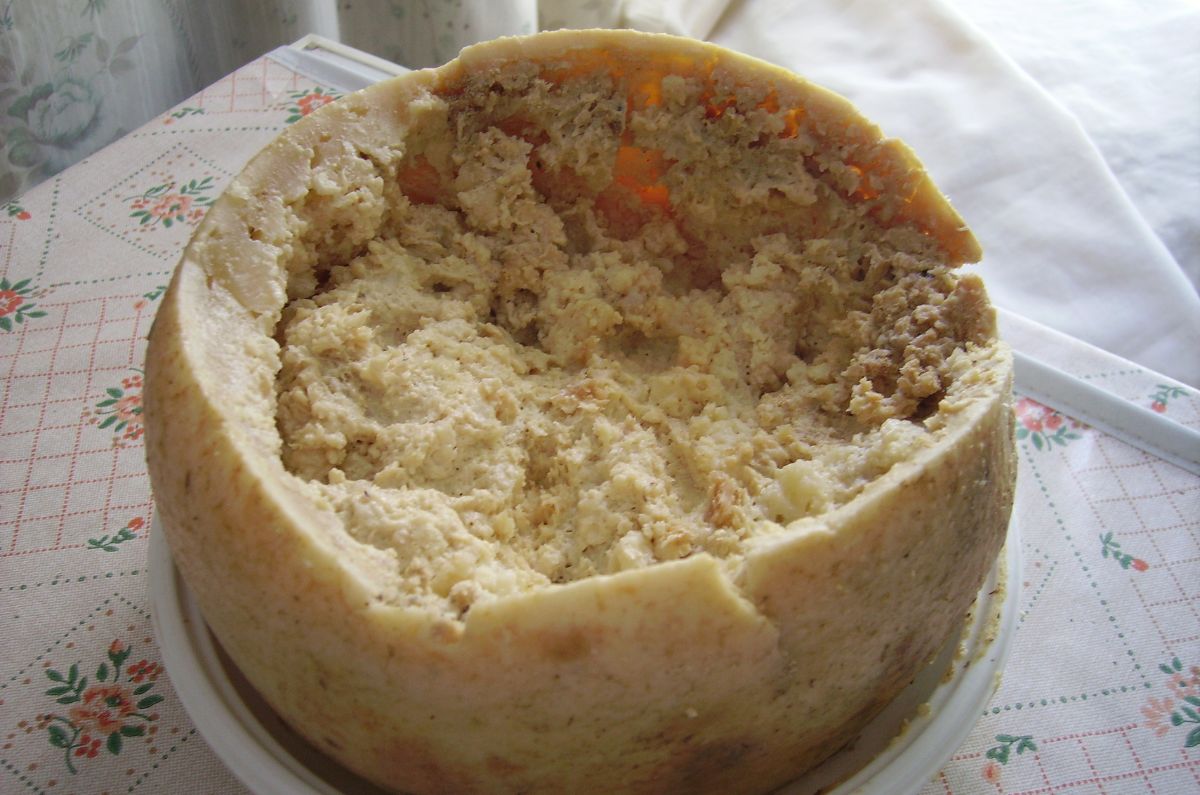 El extraño queso italiano Casu Marzu con larvas vivas