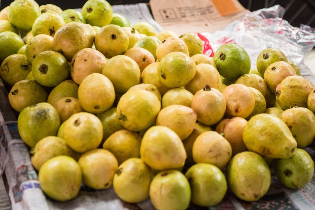 Guayaba, una de las frutas de temporada que se utiliza en el ponche navideño.
