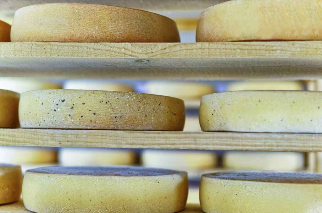 Cómo madurar quesos en casa y cuáles quesos pueden madurarse