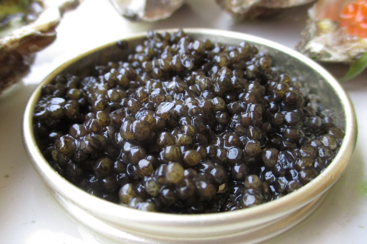 4. Caviar Giaveri