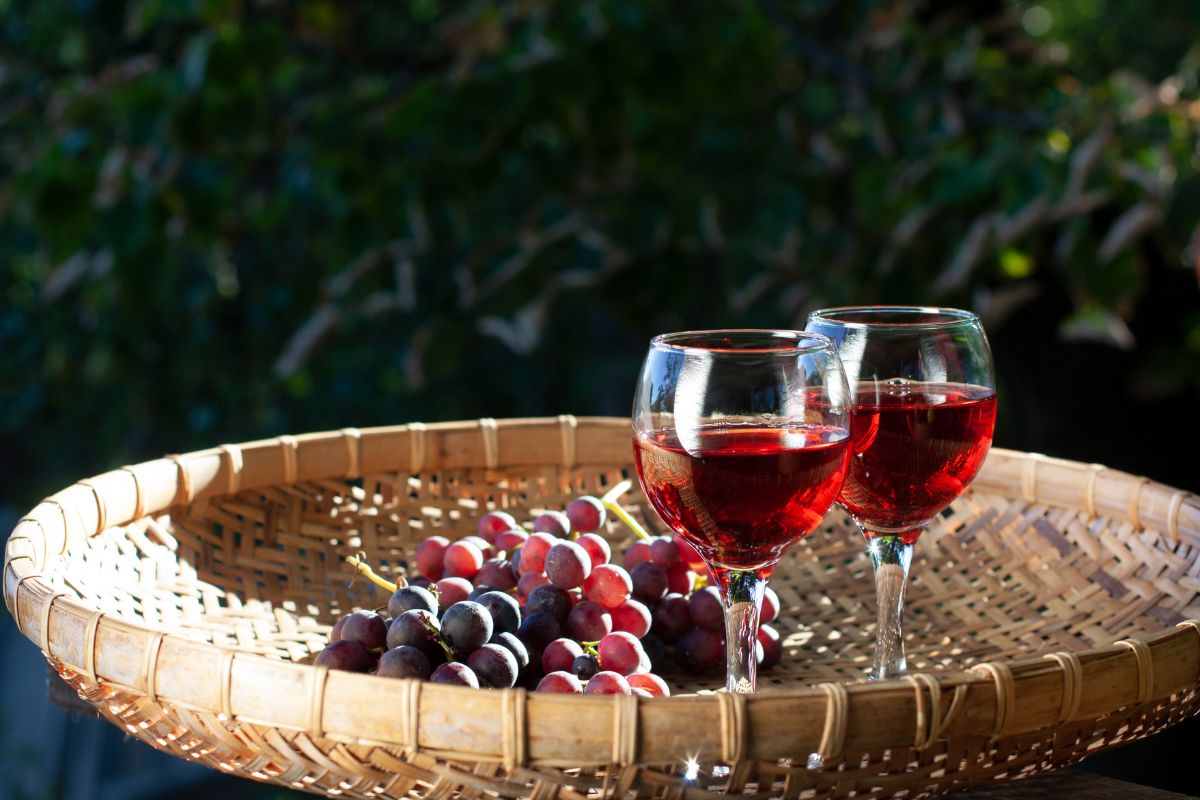 3. Vinos