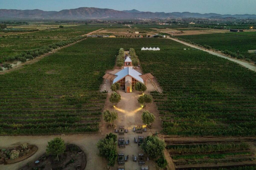 Carrodilla, vinos mexicanos del Valle de Guadalupe para el mundo