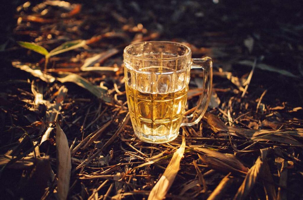 Foto de una cerveza artesanal sobre fondo de paja