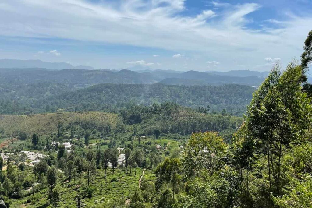 Un viaje por Nuwara Eliya, un sitio mágico sobre las montañas con plantaciones de té
