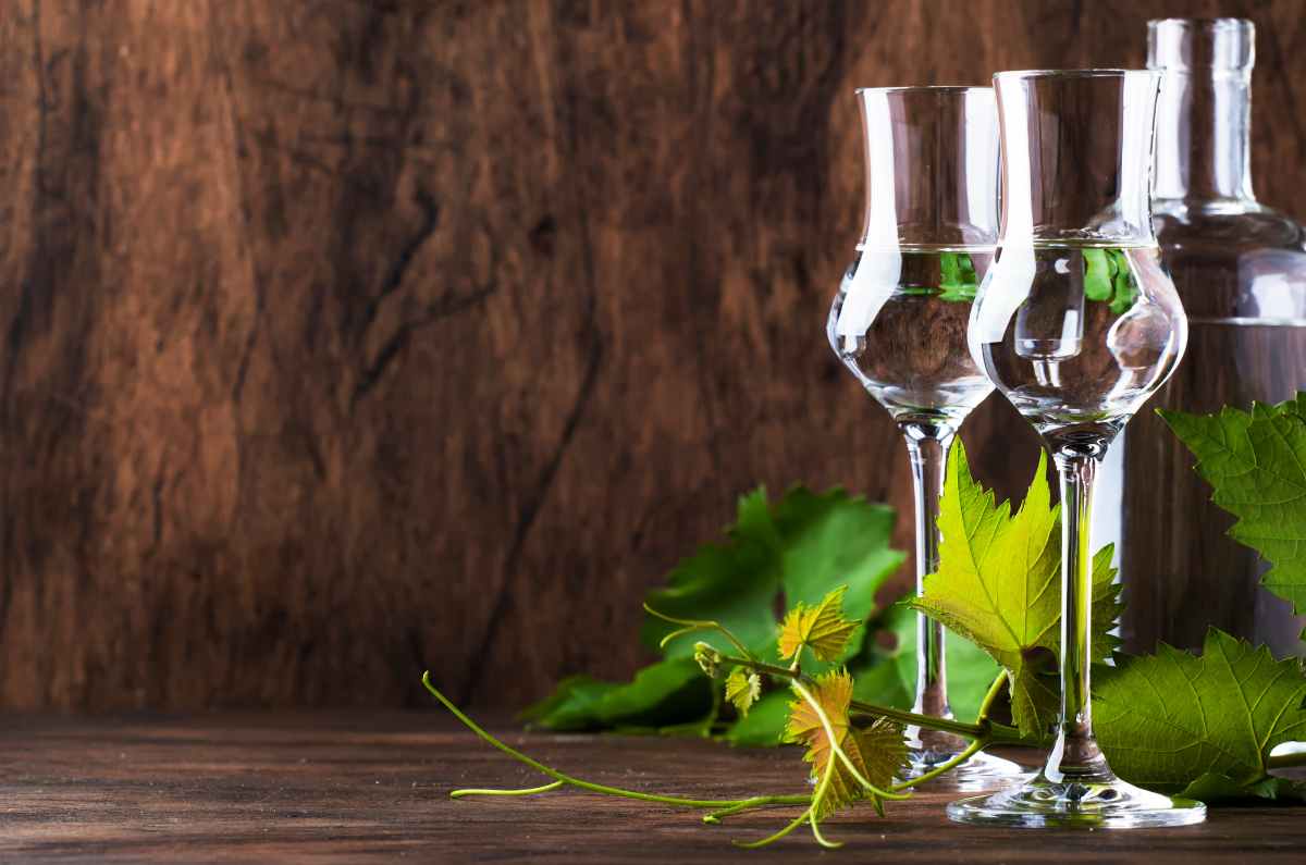 Diferencias entre pisco y grapa, dos destilados derivados de la uva