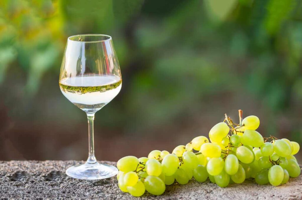 Entre los tipos de vino, quizá amamos más los de color blanco