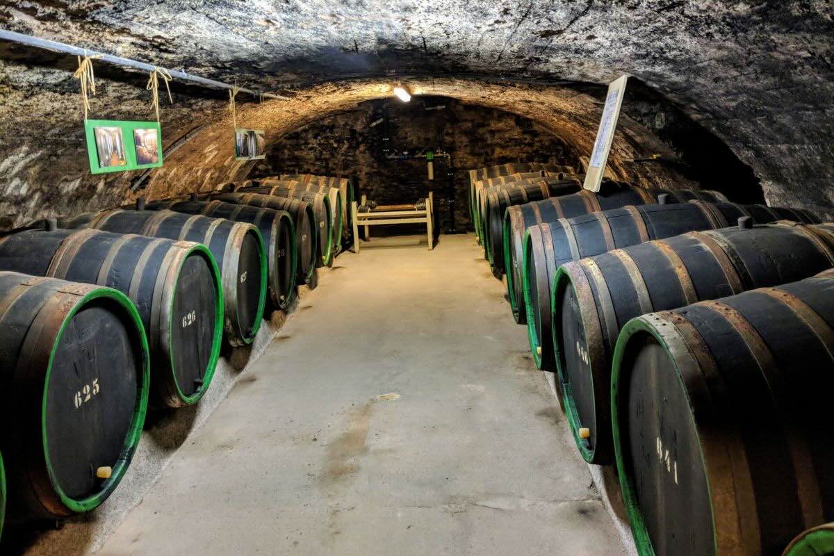 Barriles donde se almacena el vino. Foto de Canva.