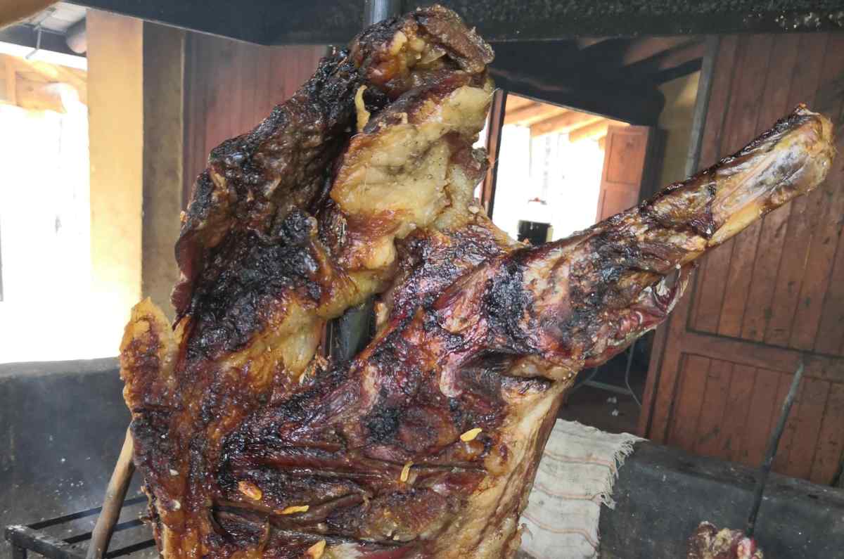 borrego-al-pastor1