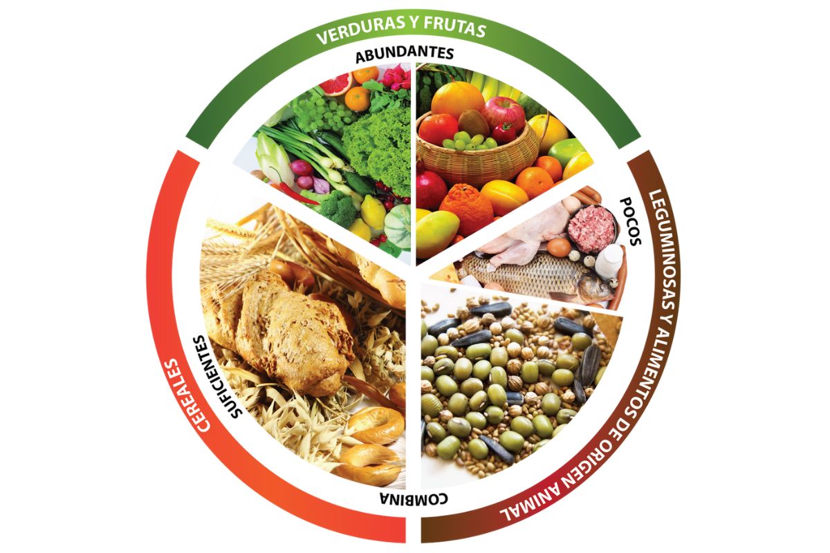 plato-del-buen-comer-11