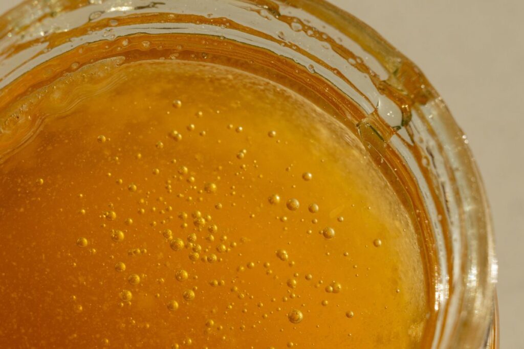 Así se forma la capa superior del hongo scoby.