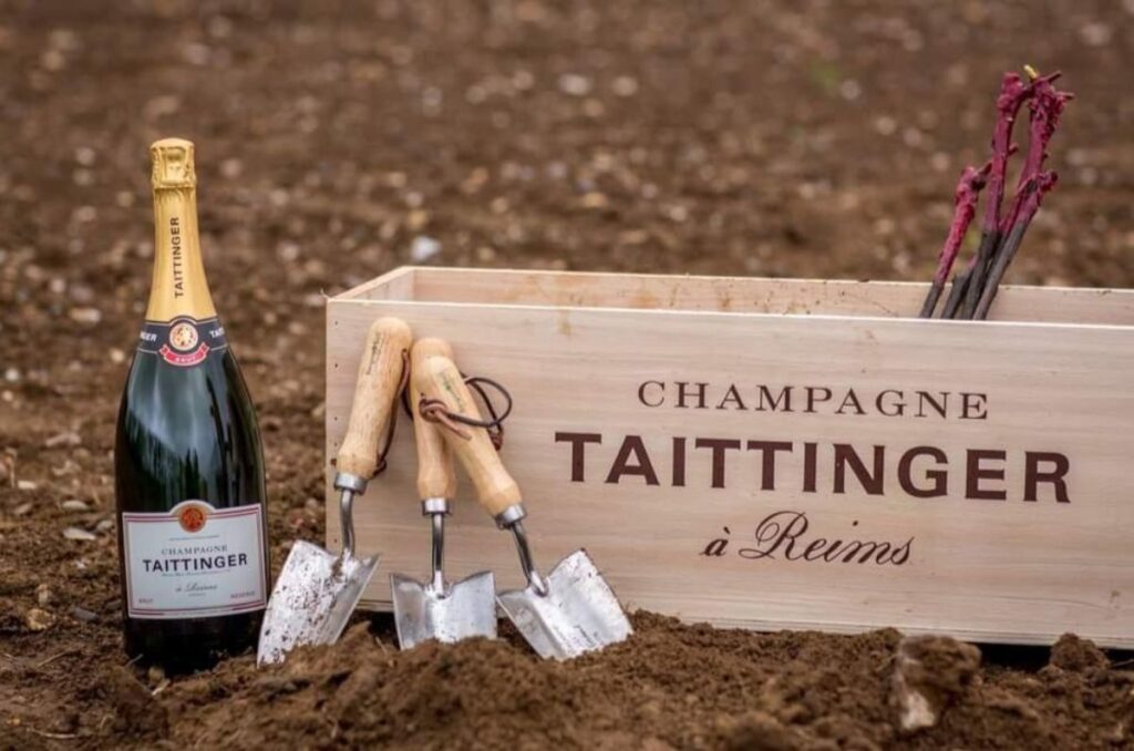 Champagne Taittinger, sinónimo de glamour y exclusividad