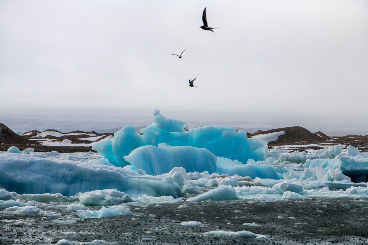 Glaciares naturales. Foto por Sergi Reboredo.