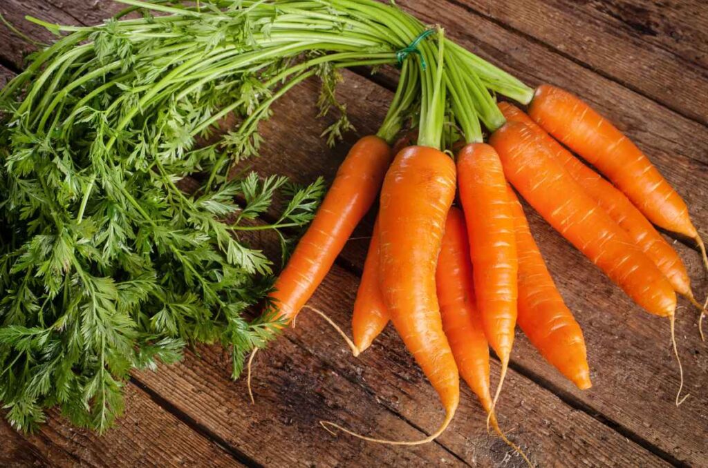 Propiedades y beneficios de las zanahorias que debes conocer 2
