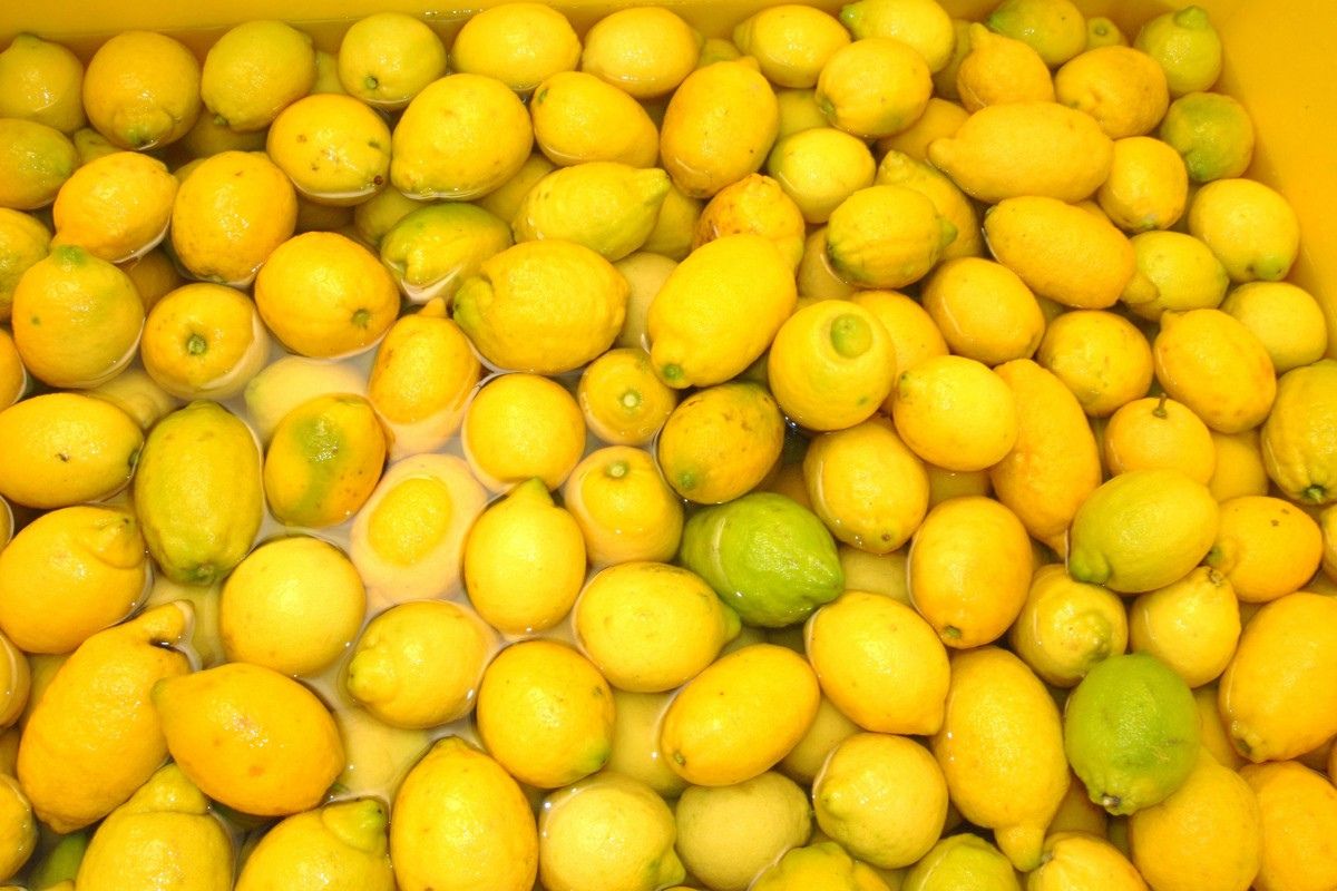 Limón amarillo fresco. Foto de PxHere.