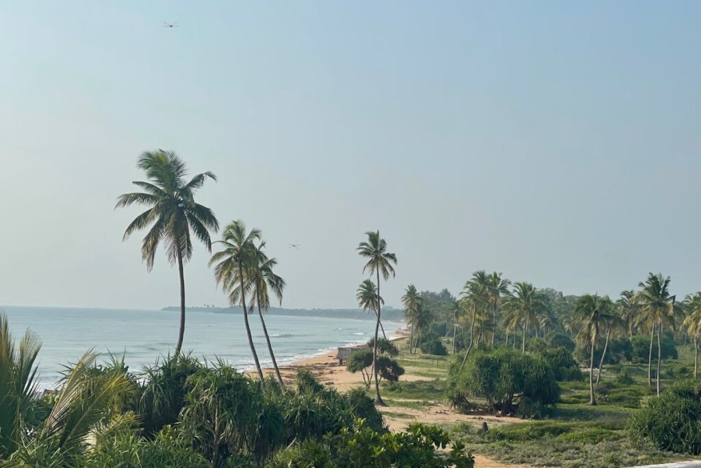 Esta es una de las playas tropicales que más se visitan en Sri Lanka.