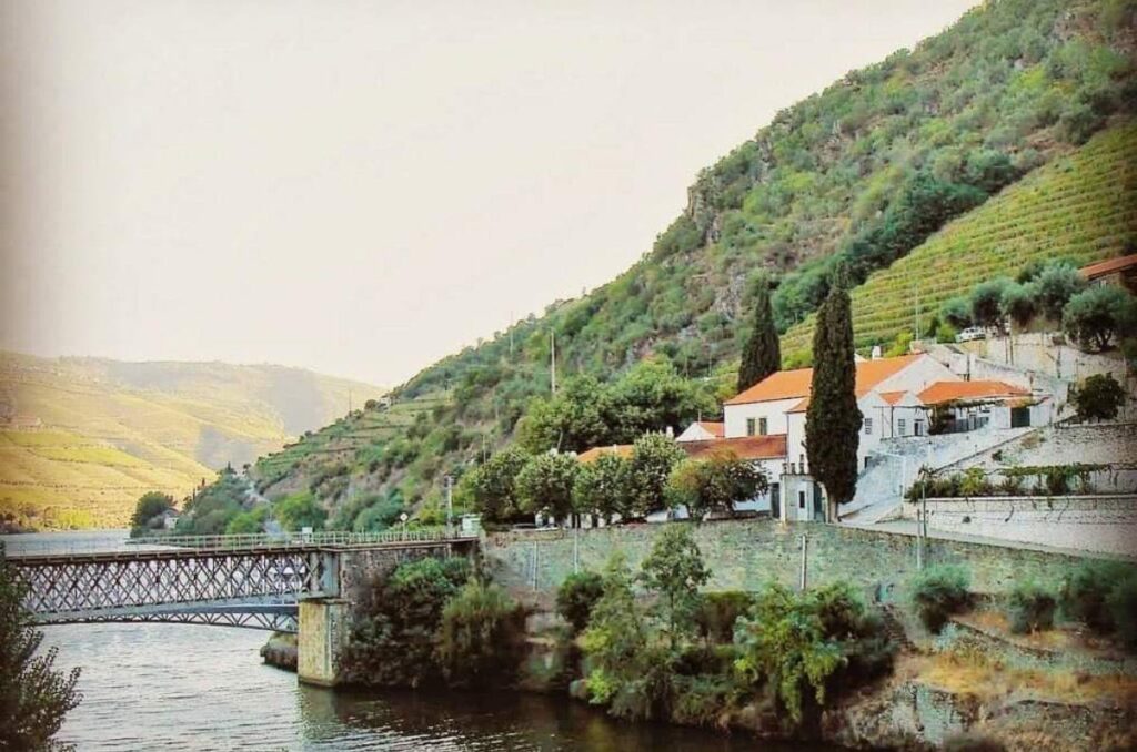 Viñedo río Douro