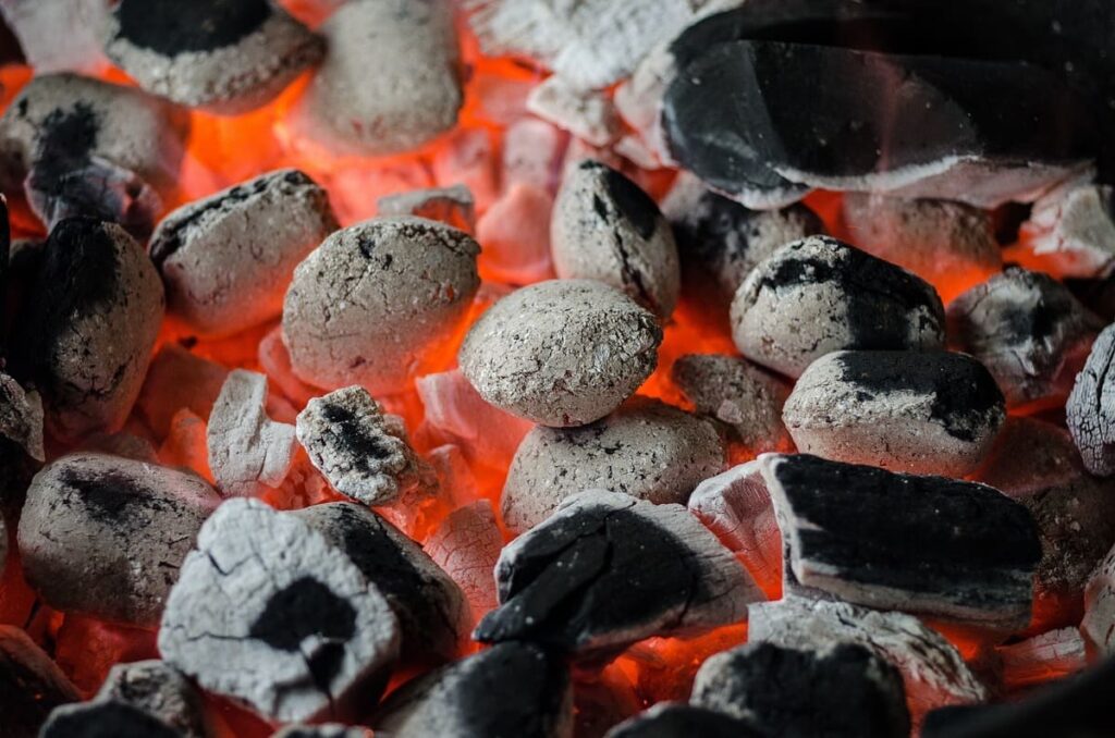 Carbón y briquetas: diferencias y usos en los asados 1
