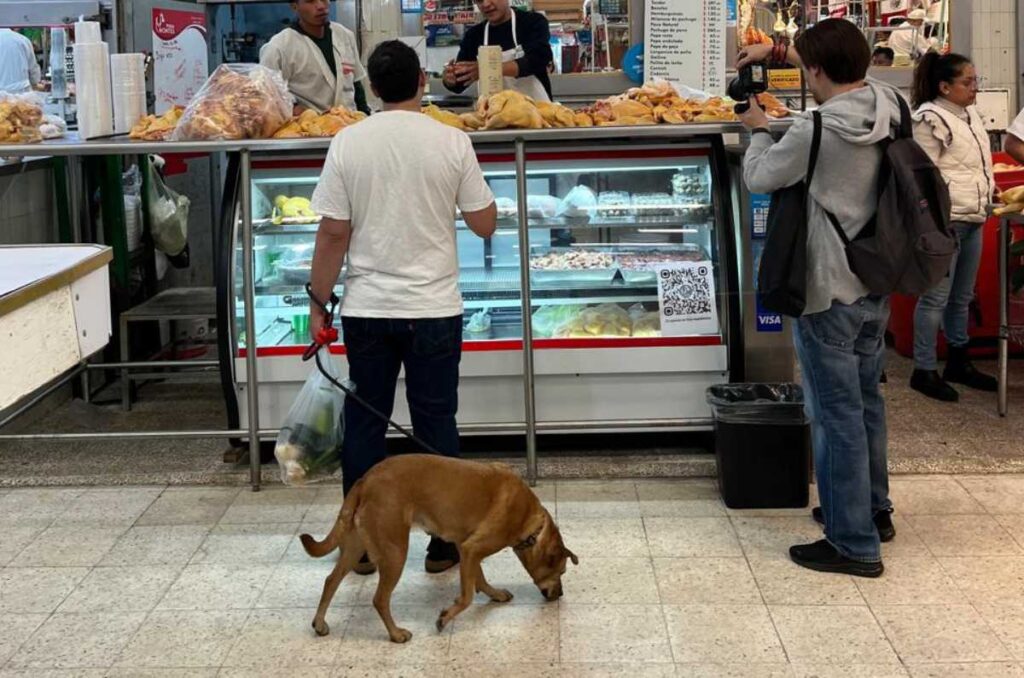 Así pasean en mercados el chef Rafa Zaga y su perrita Canela.