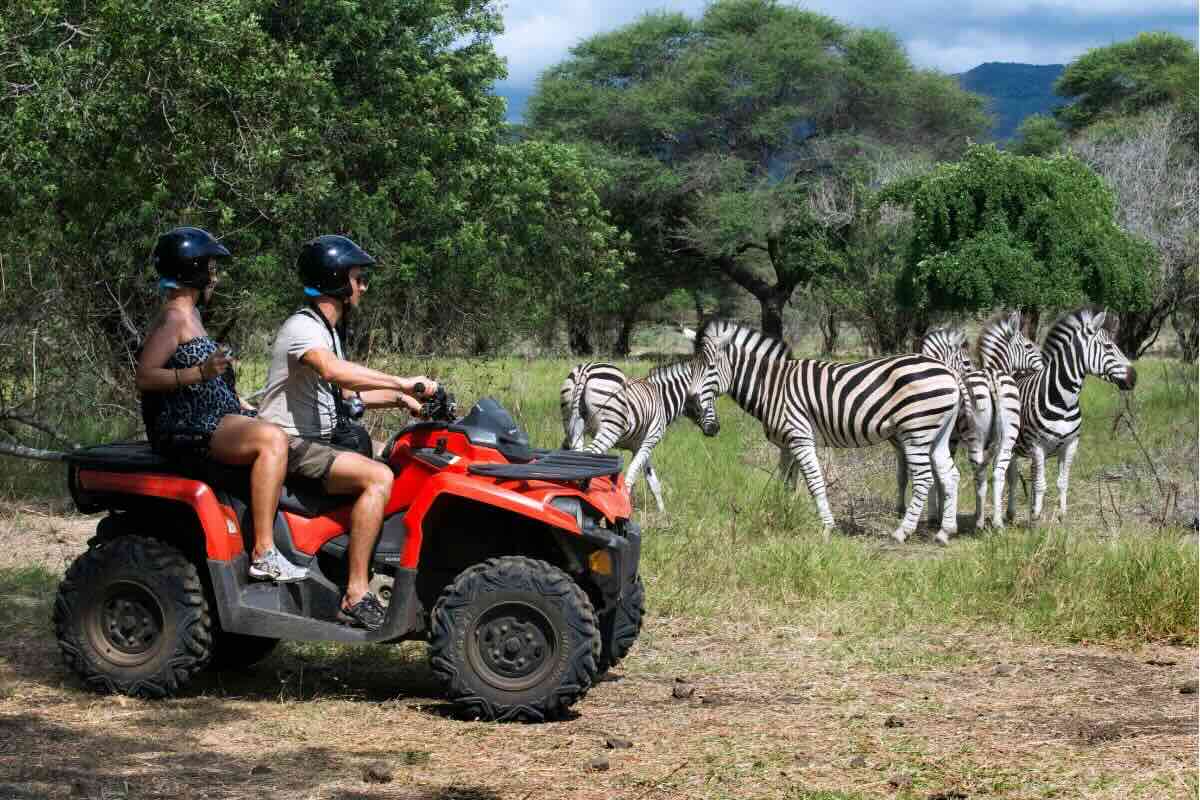 Acercamiento con los animales en Blue Safari. Foto por Sergi Reboredo.