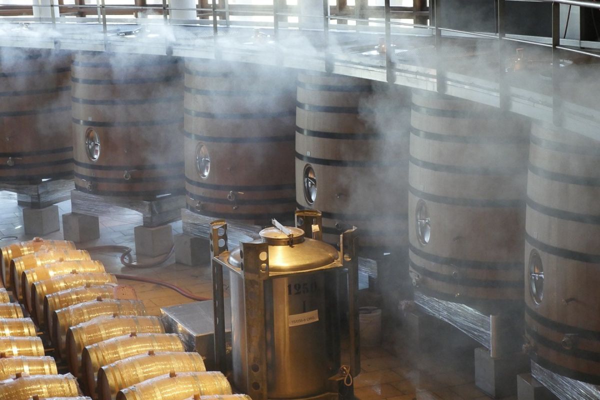 Proceso de fermentación del vino. Foto de Pixabay.com