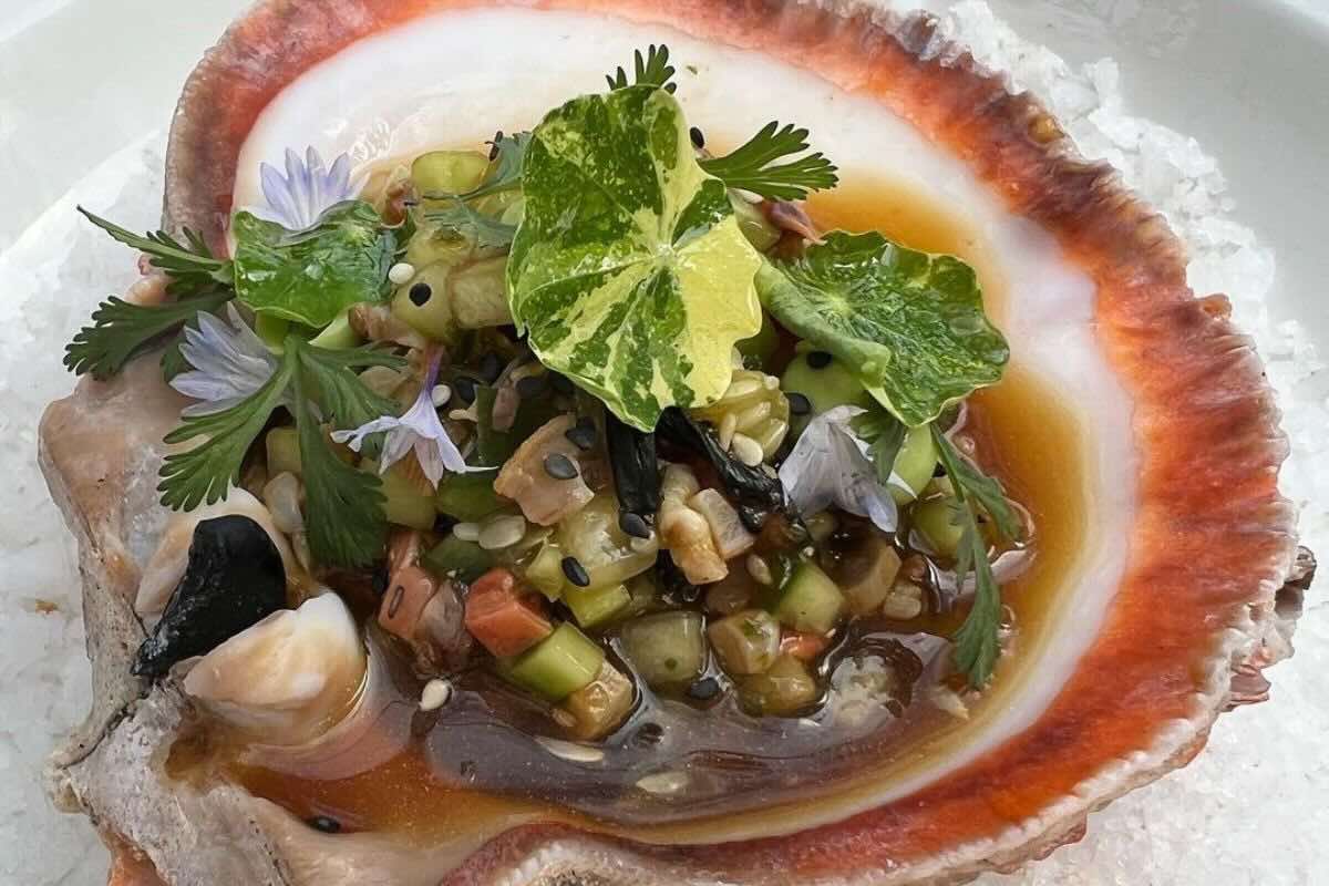 Almejas, especialidad del menú. Foto de Instagram Conchas de Piedra.
