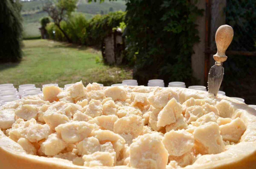 Historia y origen del queso Grana Padano, una tradición medieval 2